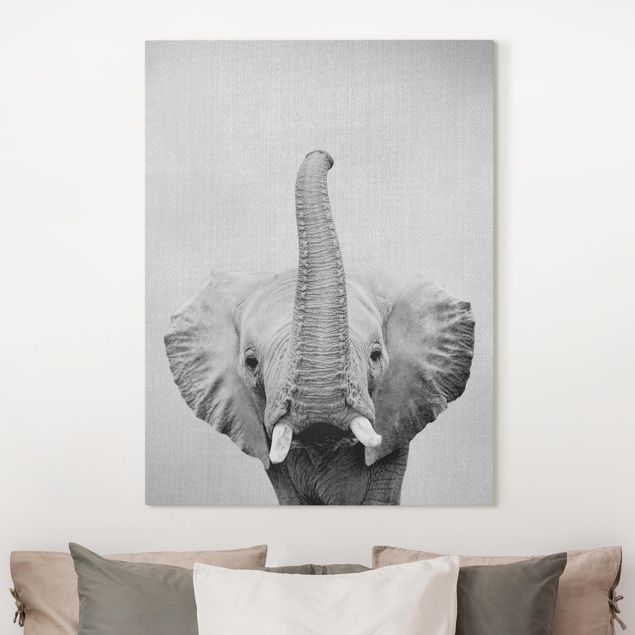 Słoń obraz Elephant Ewald Black And White