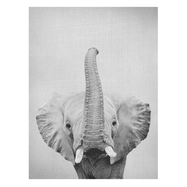 Obrazy zwierzęta Elephant Ewald Black And White