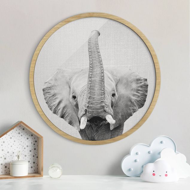 Obrazy słoń Słoń Ewald czarno-biały