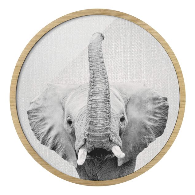 Obrazy w ramie zwierzęta Słoń Ewald czarno-biały