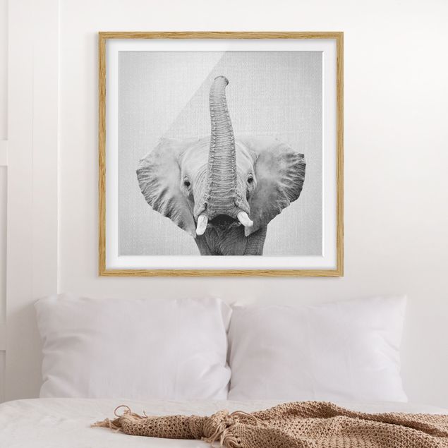 Słoń obraz Elephant Ewald Black And White