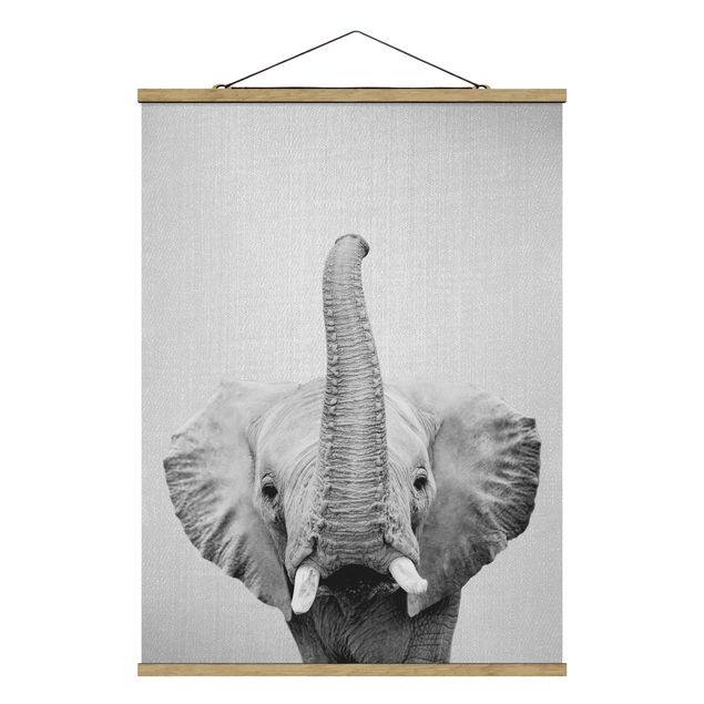 Obrazy nowoczesne Elephant Ewald Black And White