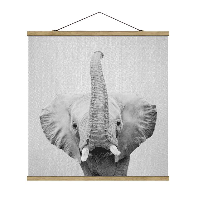 Nowoczesne obrazy Elephant Ewald Black And White
