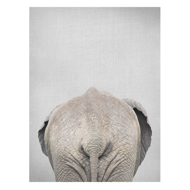 Zwierzęta obrazy Elephant From Behind