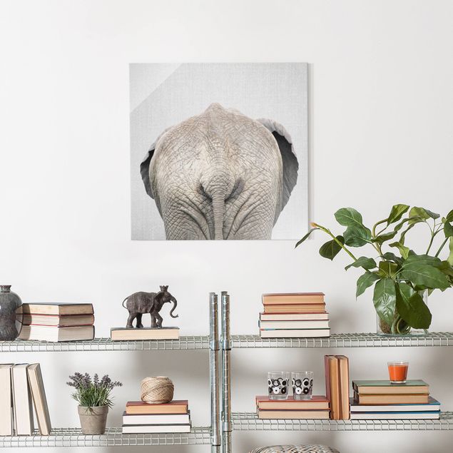 Obrazy na szkle kwadrat Elephant From Behind