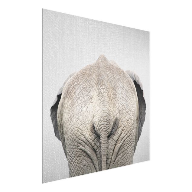 Obrazy na szkle zwierzęta Elephant From Behind