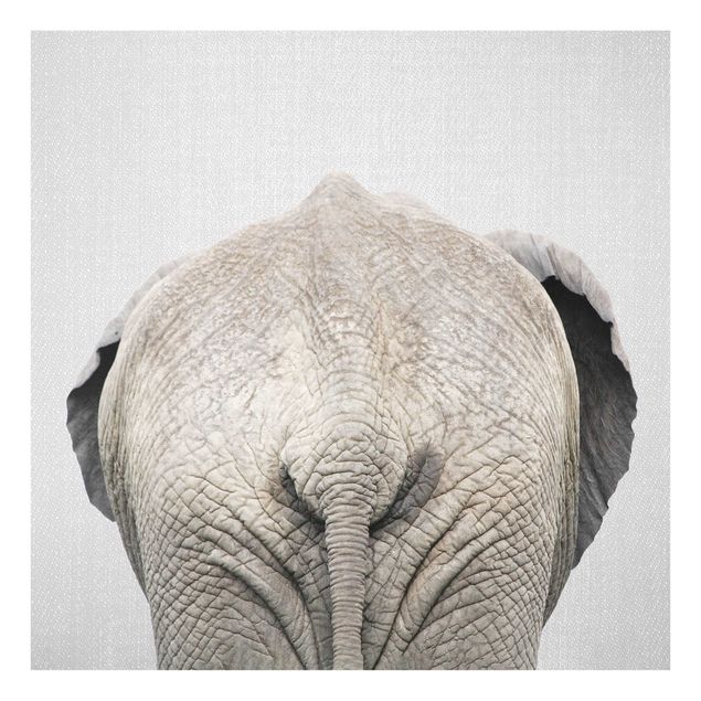 Nowoczesne obrazy do salonu Elephant From Behind