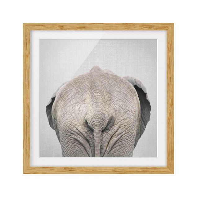 Obrazy w ramie zwierzęta Elephant From Behind