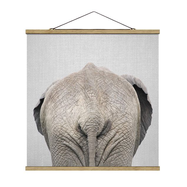 Obrazy nowoczesny Elephant From Behind