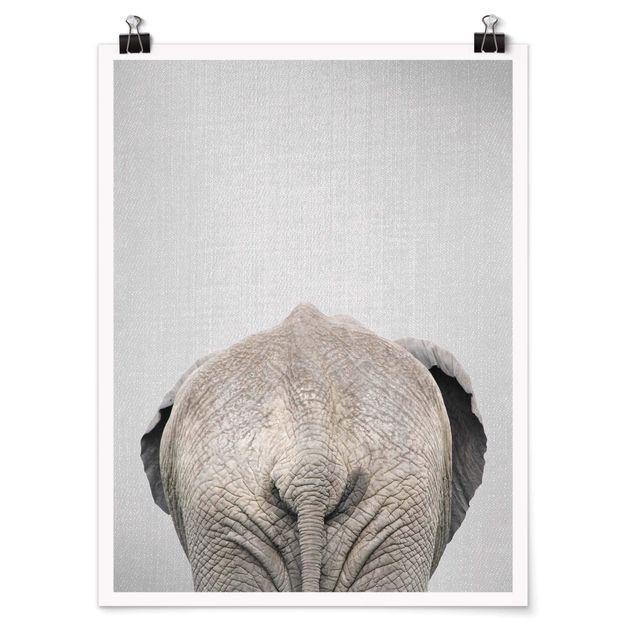 Obrazy nowoczesne Elephant From Behind
