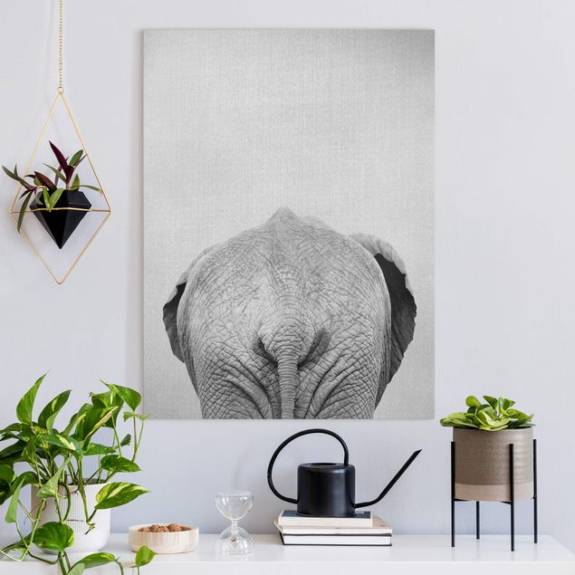 Obrazy słoń Elephant From Behind Black And White