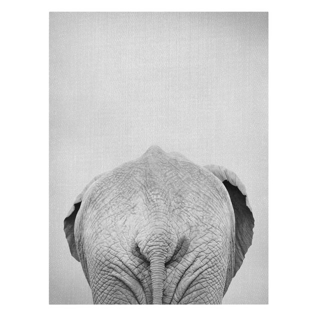 Obrazy ze zwierzętami Elephant From Behind Black And White
