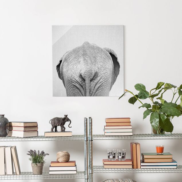 Obrazy na szkle kwadrat Elephant From Behind Black And White
