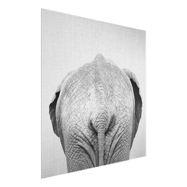 Obrazy na szkle zwierzęta Elephant From Behind Black And White