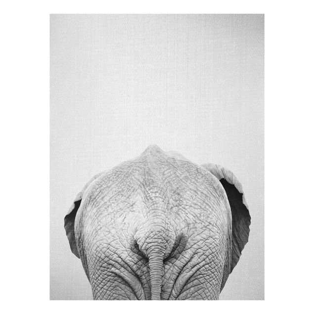 Obrazy do salonu nowoczesne Elephant From Behind Black And White