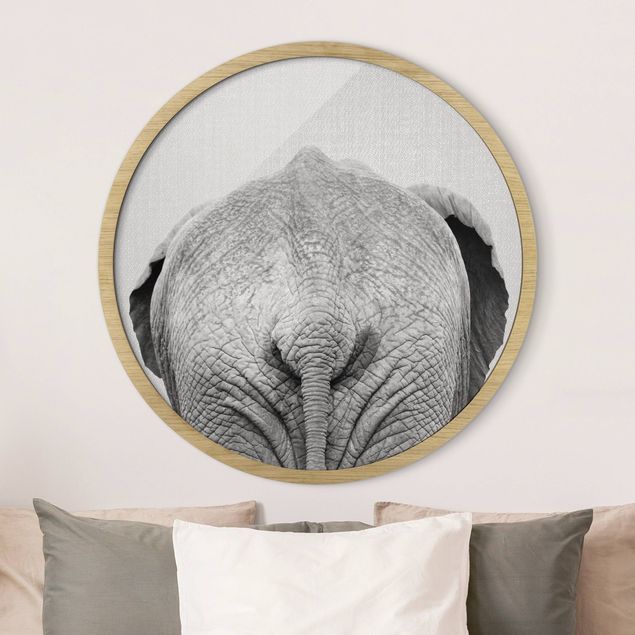 Słoń obraz Słoń z tyłu czarno-biały