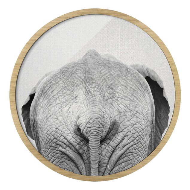 Obrazy w ramie zwierzęta Słoń z tyłu czarno-biały
