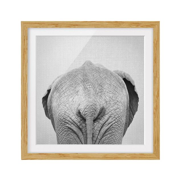 Obrazy w ramie zwierzęta Elephant From Behind Black And White