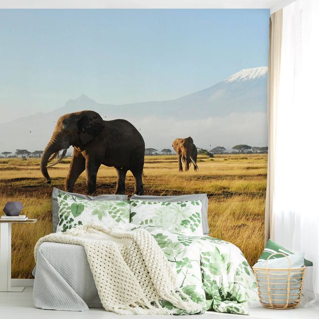 Fototapety słoń Słonie na tle Kilimandżaro w Kenii
