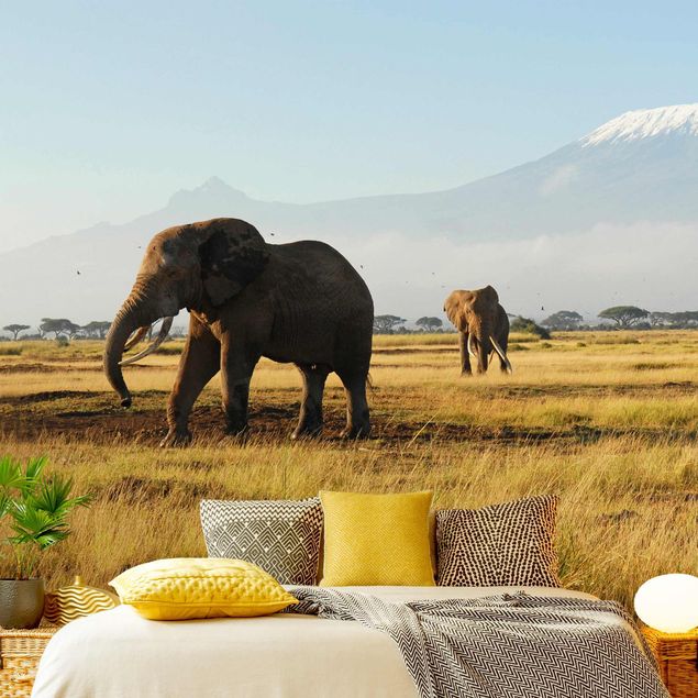 Tapeta góry Słonie na tle Kilimandżaro w Kenii