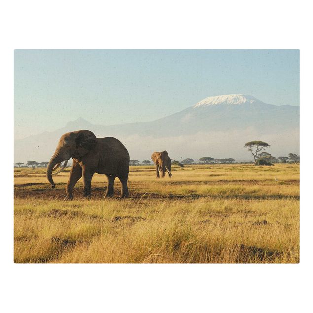 Obrazy na ścianę krajobrazy Słonie na tle Kilimandżaro w Kenii