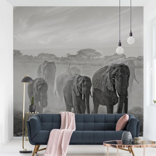 Słoń tapeta Stado słoni