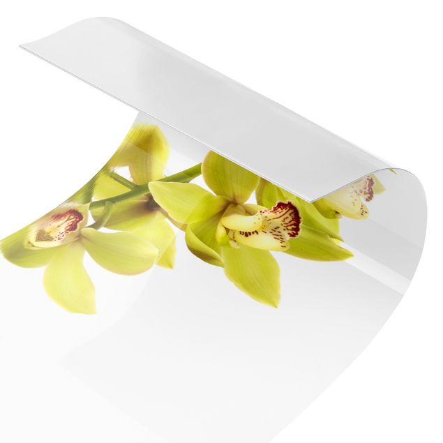 Panel ścienny do kuchni - Eleganckie wody orchidei