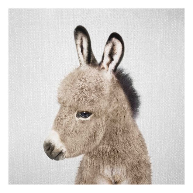 Nowoczesne obrazy Donkey Ernesto