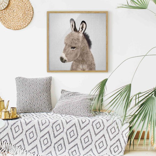 Obrazy w ramie zwierzęta Donkey Ernesto