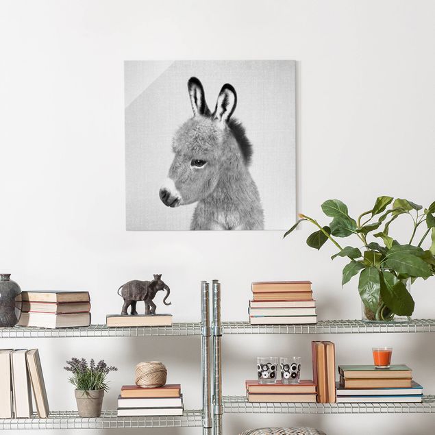 Obrazy na szkle zwierzęta Donkey Ernesto Black And White