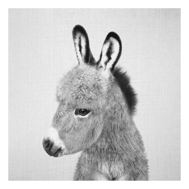 Obrazy nowoczesne Donkey Ernesto Black And White