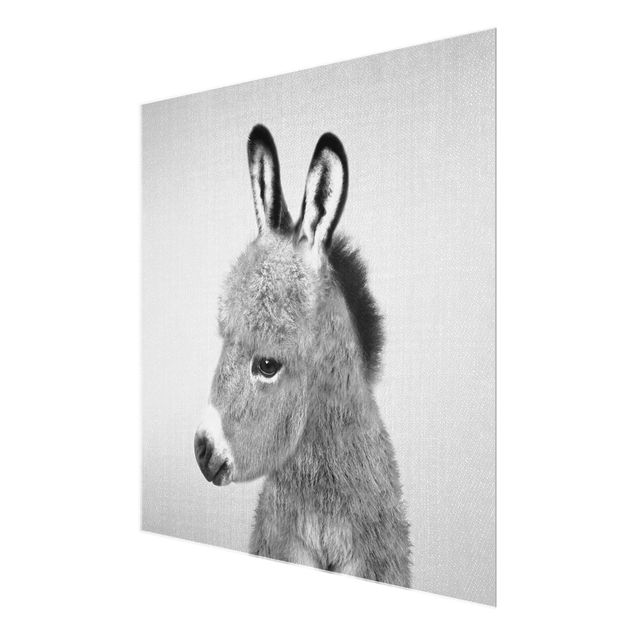Obrazy zwierzęta Donkey Ernesto Black And White