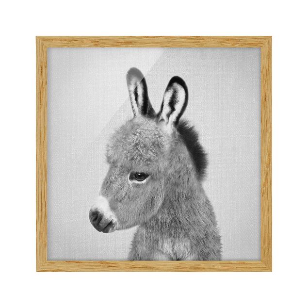 Obrazy do salonu nowoczesne Donkey Ernesto Black And White