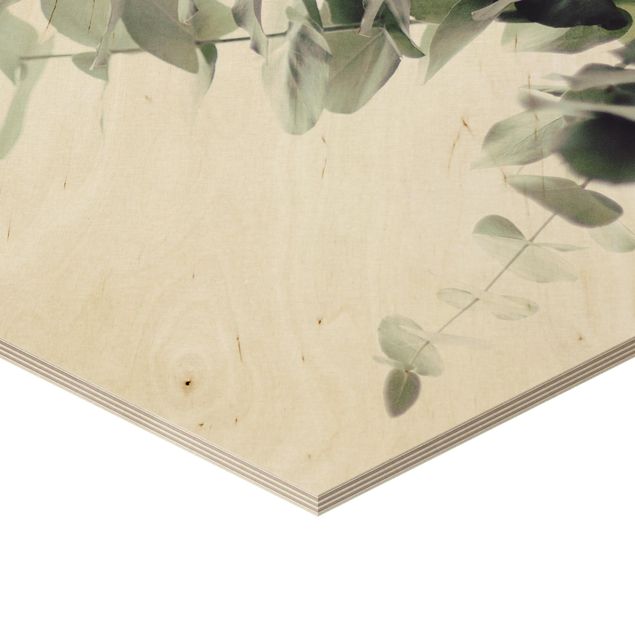 Obraz heksagonalny z drewna - Eukaliptus w białym świetle