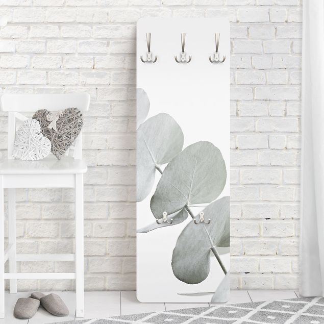 Garderoby Gałązka eukaliptusa w białym świetle