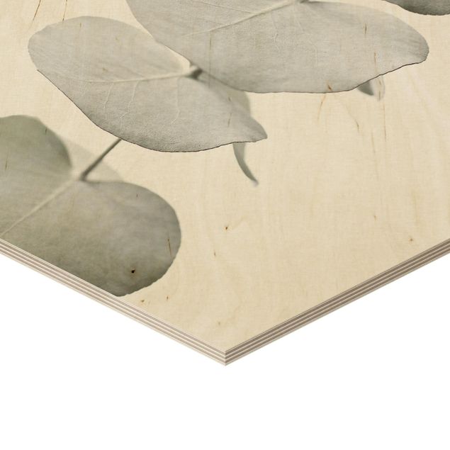 Obraz heksagonalny z drewna - Gałązka eukaliptusa w białym świetle