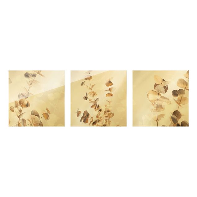 Obraz na szkle 3-częściowy - Gałązki eukaliptusa w kolorze złotym