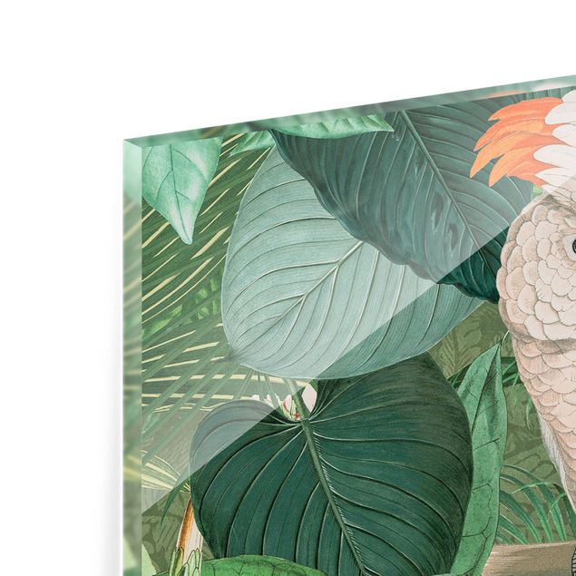 Panel szklany do kuchni - Kolaż w stylu vintage - kakadu i koliber