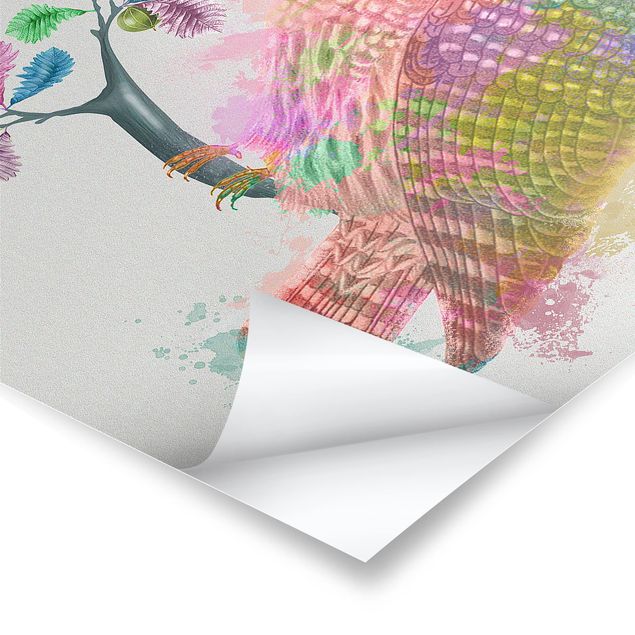 Plakat - Rainbow Splash Owl