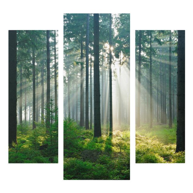 Obrazy krajobraz Świetlany las