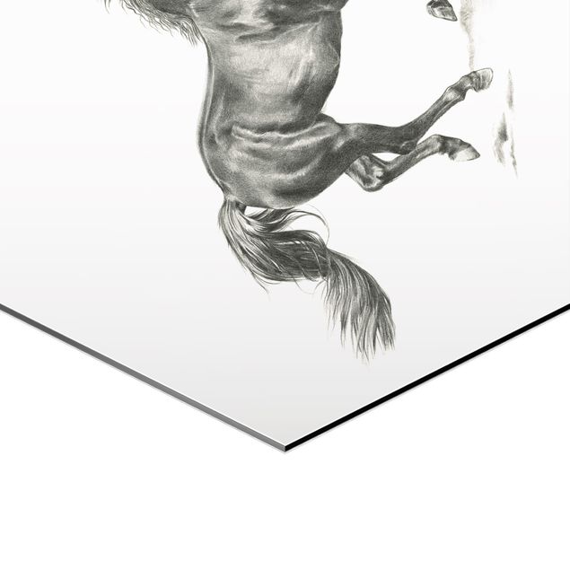 Obraz heksagonalny z Alu-Dibond 2-częściowy - Zestaw do badania dzikich koni I