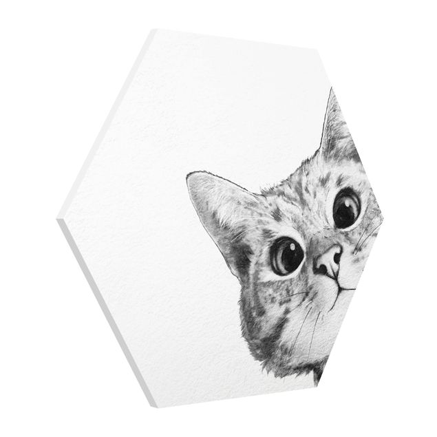Obrazy nowoczesny Ilustracja kota Rysunek czarno-biały