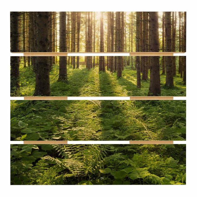 Obrazy na drewnie Promienie słońca w zielonym lesie