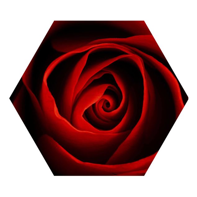 Obraz heksagonalny z drewna - Piękna róża