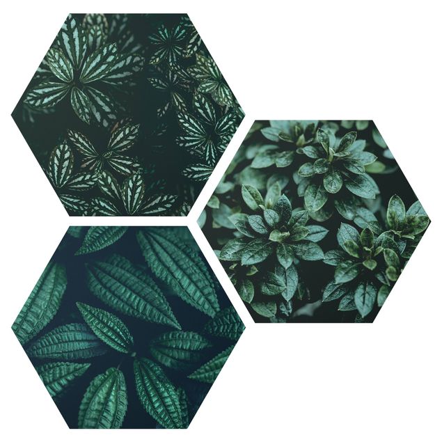 Zielony obraz Leaves Trio