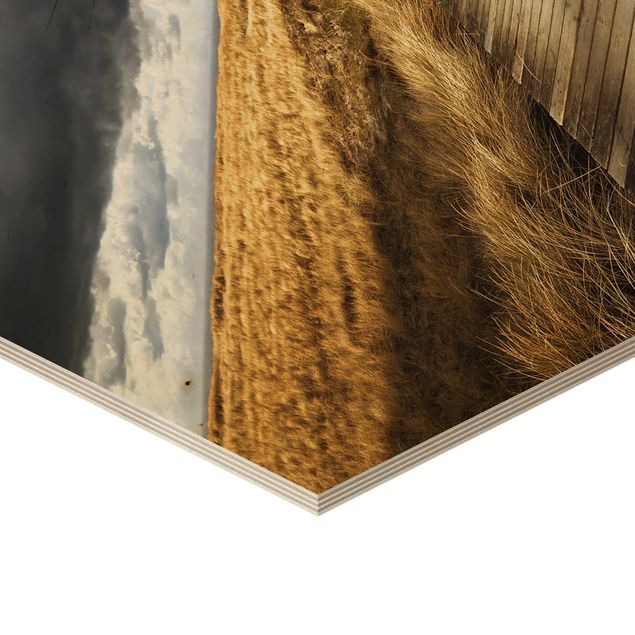 Obraz heksagonalny z drewna - Spacer po wydmach