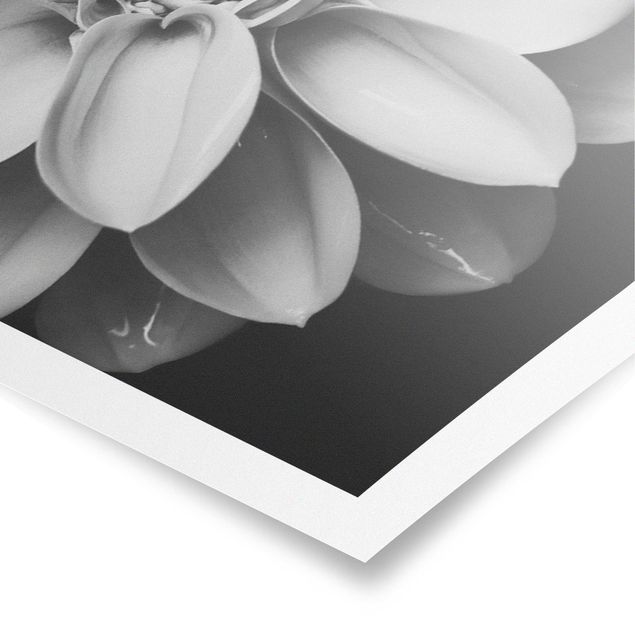Obrazy z motywem kwiatowym W sercu dalii Czarno-białe