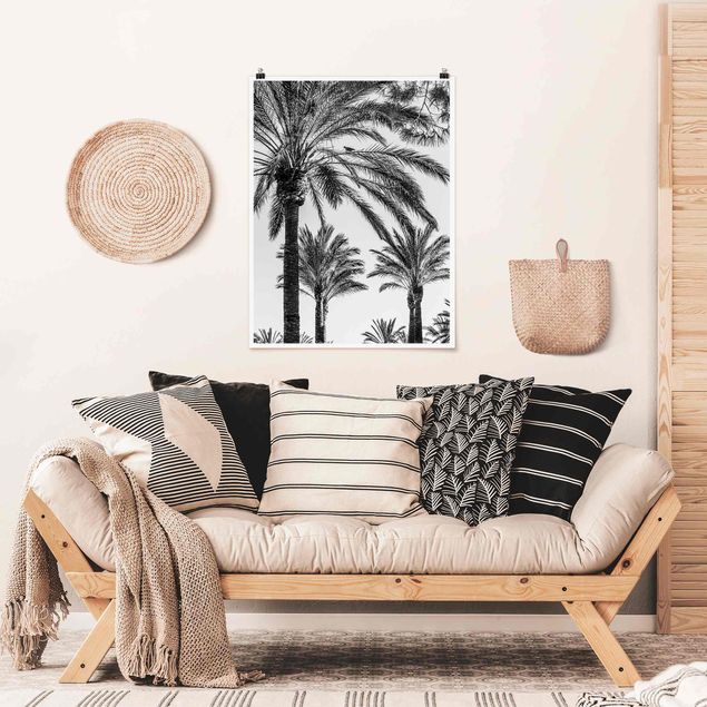 Obrazy nowoczesne Palmy o zachodzie słońca, czarno-białe