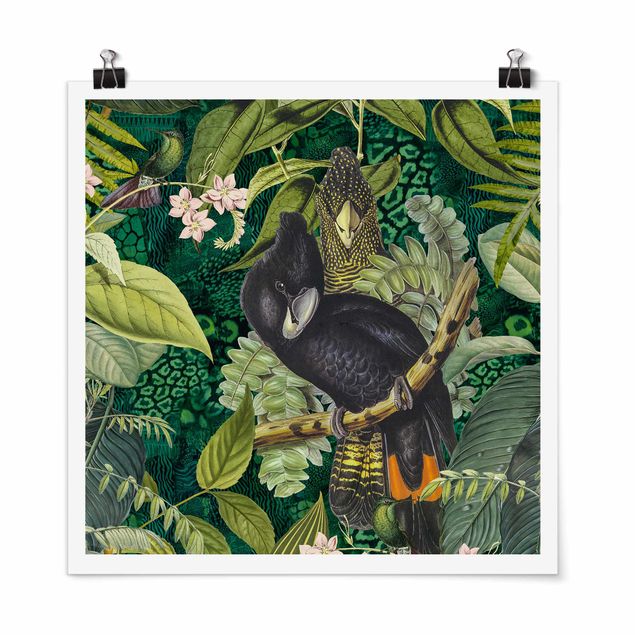 Zwierzęta obrazy Kolorowanka - Kakadu w dżungli