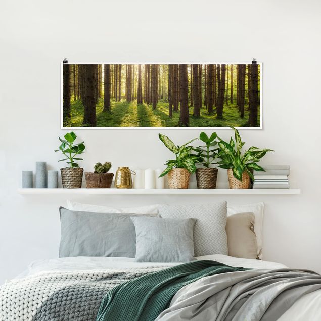 Obrazy do salonu nowoczesne Promienie słońca w zielonym lesie